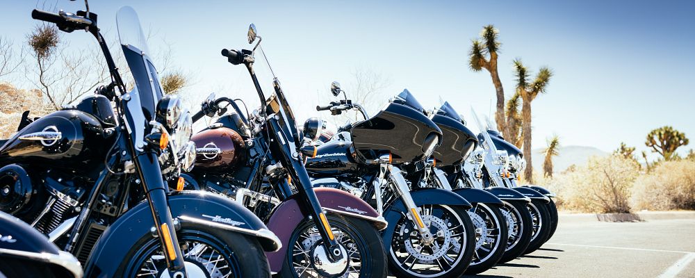 Motorcycle Rentals