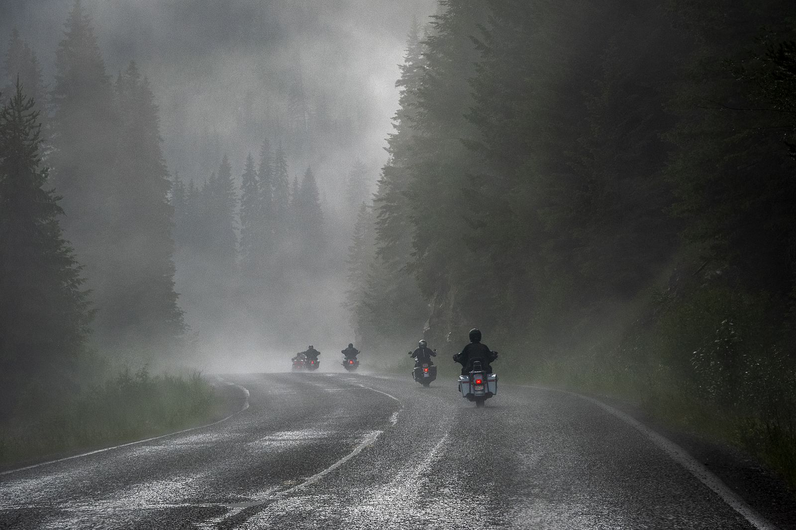 Riding in the Mist