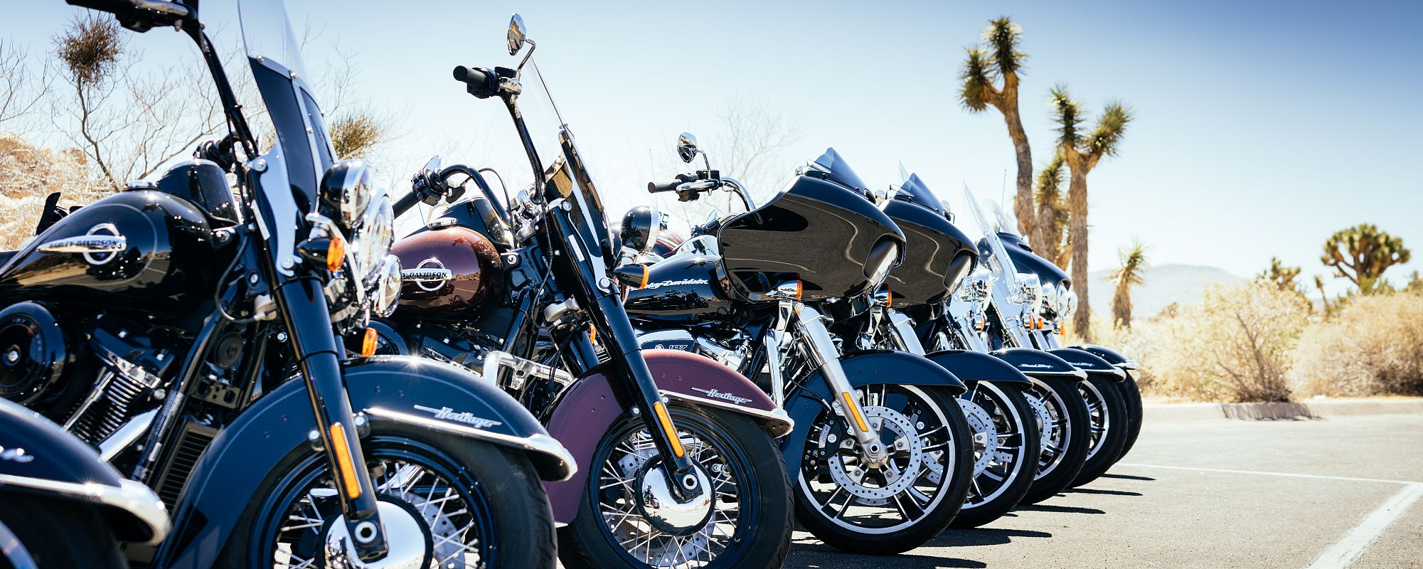 Motorcycle Rentals